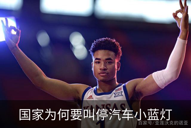 国家为何要叫停汽车小蓝灯