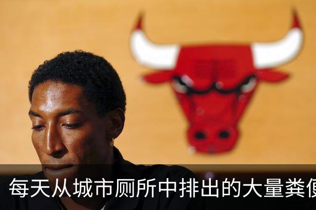 每天从城市厕所中排出的大量粪便，最终都被排到哪里去了？