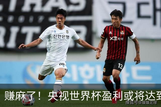 赚麻了！央视世界杯盈利或将达到50-60亿元人民币