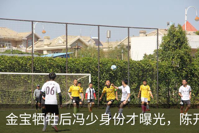 金宝牺牲后冯少身份才曝光，陈开来终于明白，金宝到死都在瞒着他